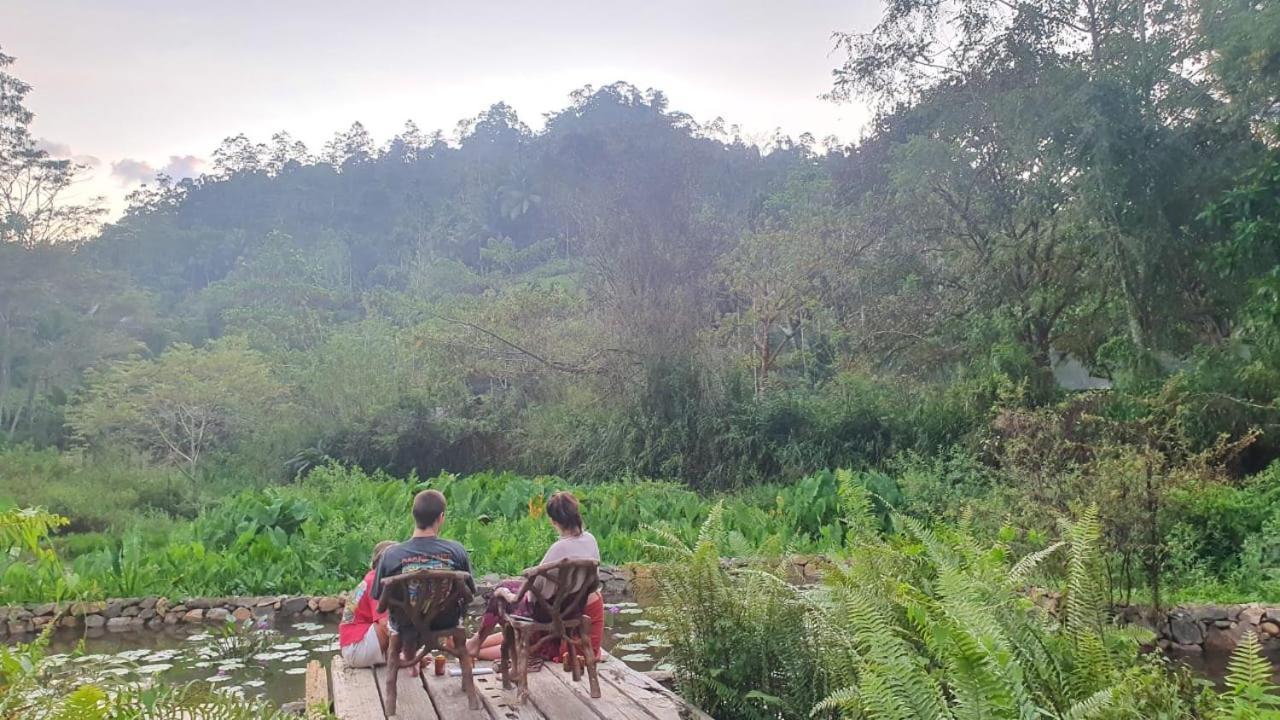 Sinharaja Forest Edge Deniyaya Exterior foto