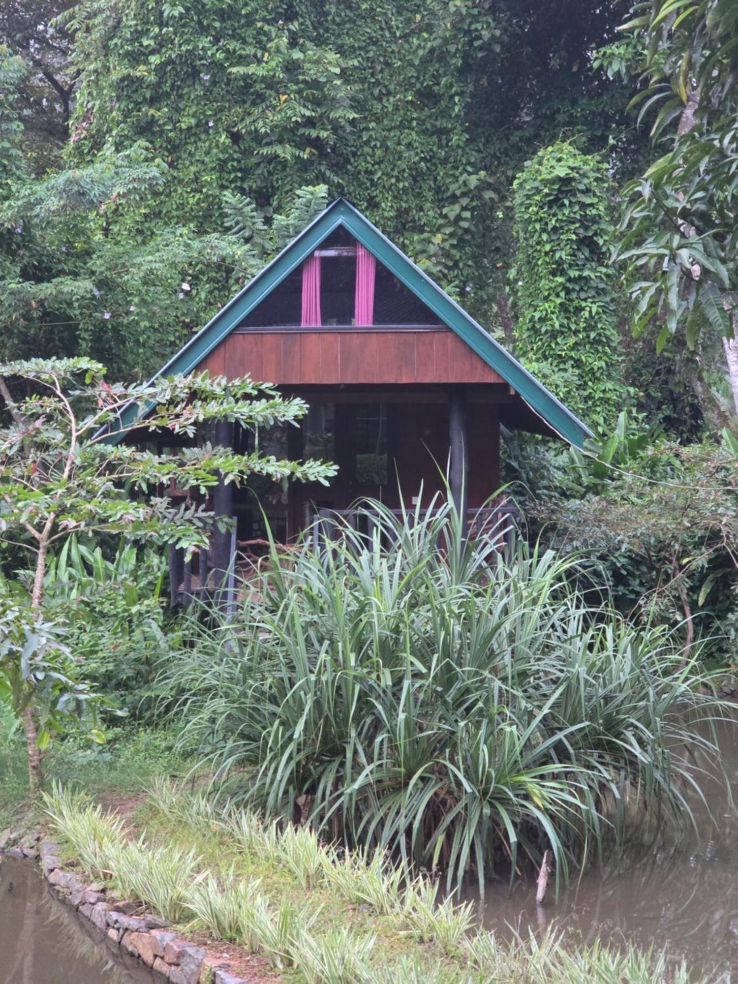 Sinharaja Forest Edge Deniyaya Exterior foto
