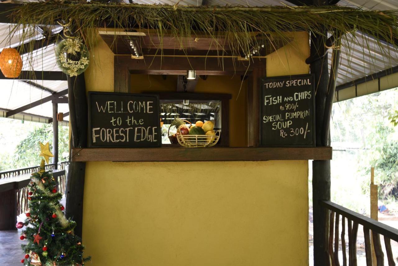 Sinharaja Forest Edge Deniyaya Exterior foto
